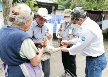 Comunitarios y estudiantes universitarios se capacitan en sanidad aviar