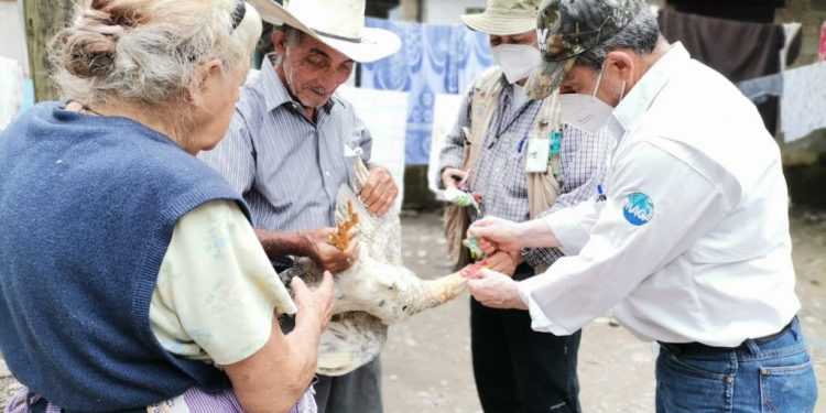 Comunitarios y estudiantes universitarios se capacitan en sanidad aviar