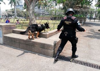Mantienen operativos de seguridad ciudadana en el Centro Histórico