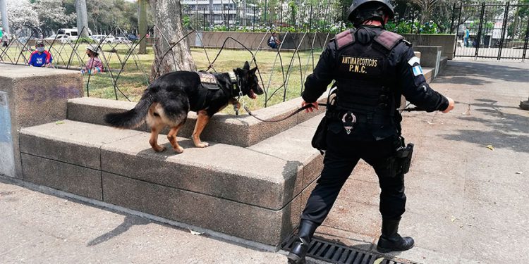 Mantienen operativos de seguridad ciudadana en el Centro Histórico