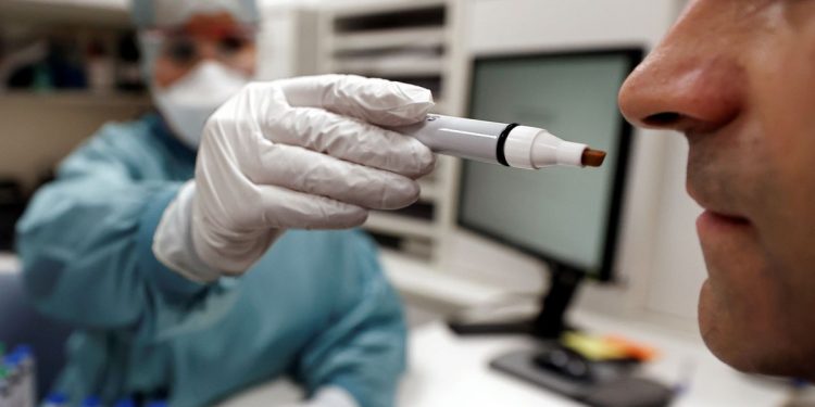Descubren que pérdida de olor por COVID-19 se debe a una inflamación
