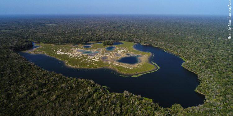 Refuerzan acciones para proteger la Reserva de la Biosfera Maya