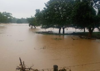 Cuatro ríos son monitoreados por el Insivumeh tras sobrepasar su nivel normal