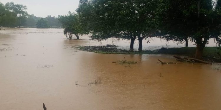 Cuatro ríos son monitoreados por el Insivumeh tras sobrepasar su nivel normal