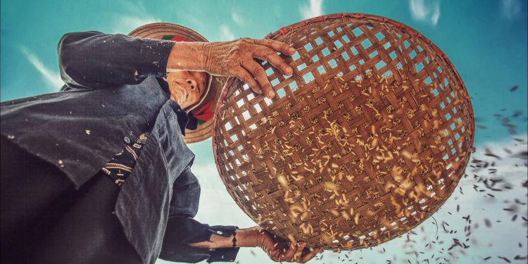 América llevará una acción conjunta a Cumbre de Sistemas Alimentarios de ONU