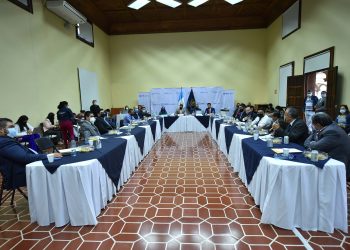 Gobierno presenta avances de propuesta de protección a la vida y la familia