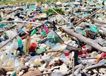 MARN apoya la gestión integral de desechos sólidos a nivel departamental