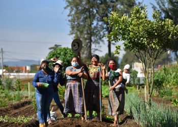 Muros de prosperidad