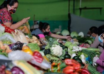 INE informa sobre los precios de la canasta básica./Foto: DCA