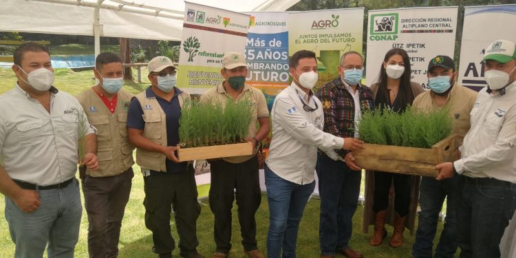 Autoridades resaltan la importancia de esta campaña de reforestación