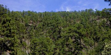 Resaltan importancia del impulso de ecoempresas