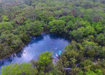 Los bosques tropicales y su importancia para la biodiversidad