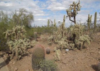 La Cancillería pide a los migrantes no cruzar el desierto