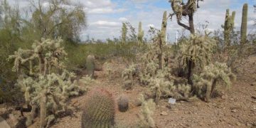 La Cancillería pide a los migrantes no cruzar el desierto