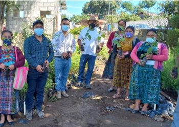 MARN contribuye a la reforestación de Chimaltenango