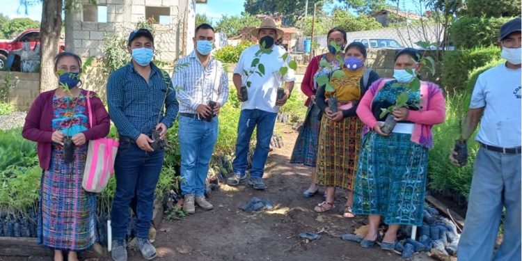 MARN contribuye a la reforestación de Chimaltenango