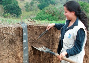 MAGA continúa elaborando estudios de suelos en el territorio nacional