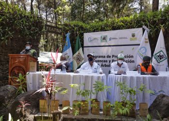INDE lanza Programa para la Protección de Cuencas y Producción de Árboles