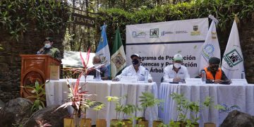 INDE lanza Programa para la Protección de Cuencas y Producción de Árboles