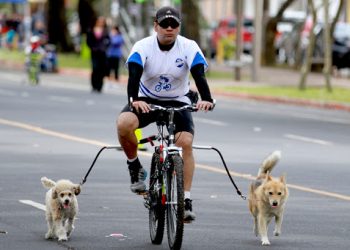 Autorizan ingreso de perros de compañía a centros deportivos