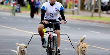 Autorizan ingreso de perros de compañía a centros deportivos