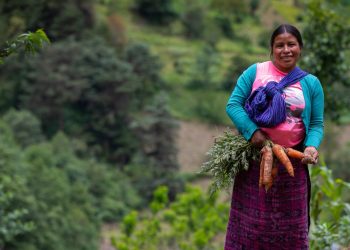 Programa Nuestra Cosecha