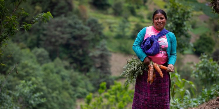 Programa Nuestra Cosecha