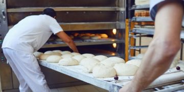 Registro de Bienes Muebles