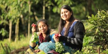 Establecen acciones para fortalecer seguridad alimentaria en Quiché