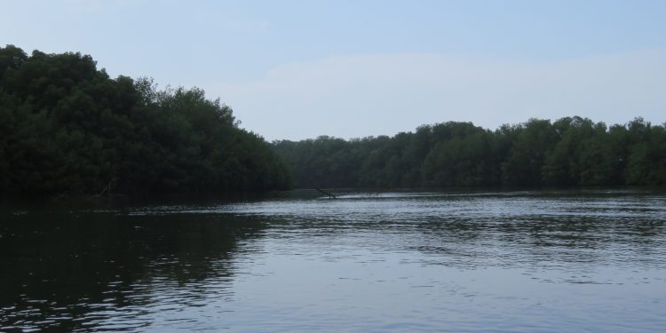 Presentan plan para proteger el río Ocosito en Retalhuleu