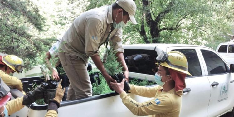 Totonicapán se une a la iniciativa Sembrando Huella