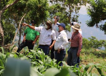 Priorizan atención de agricultores del corredor seco