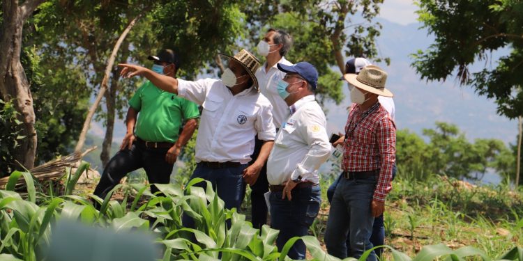 Priorizan atención de agricultores del corredor seco