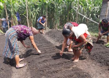 Vecinas de Petatán se capacitan en creación de huertos