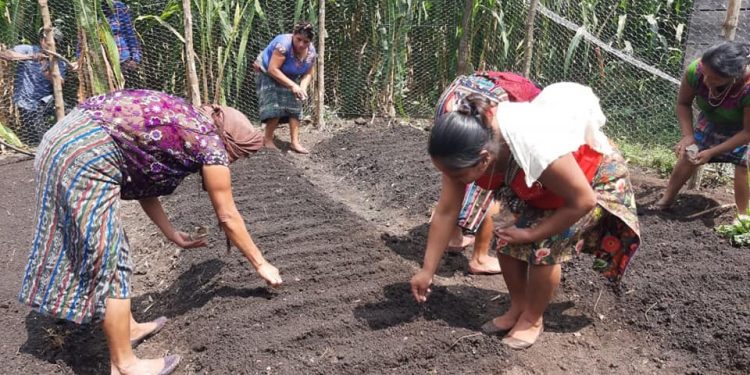 Vecinas de Petatán se capacitan en creación de huertos
