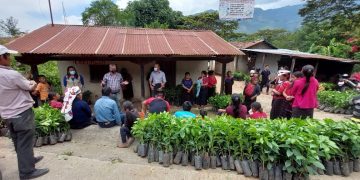 Habitantes de San Sebastián Huehuetenango reciben plántulas de café