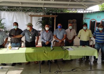 Accionan contra la tala ilegal en Pueblo Nuevo Viñas