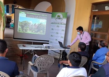 Extensionistas rurales de Suchitepéquez refuerzan sus capacidades en temas forestales