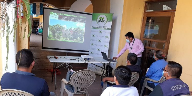 Extensionistas rurales de Suchitepéquez refuerzan sus capacidades en temas forestales