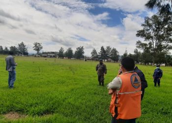 Crearán bosque modelo en Huehuetenango