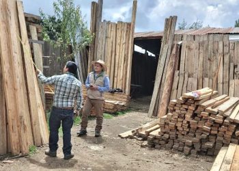 Inab fiscaliza empresas forestales de Totonicapán