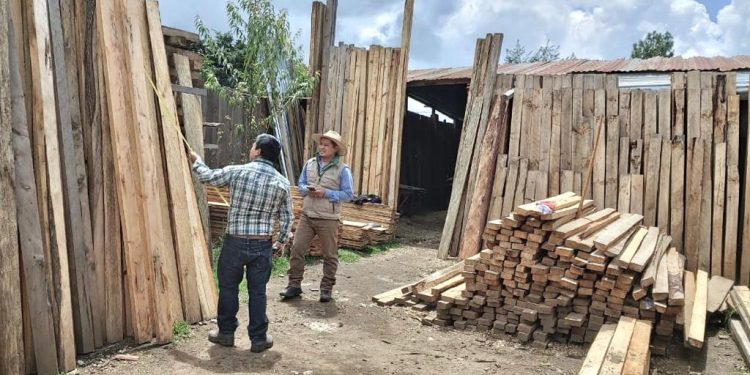 Inab fiscaliza empresas forestales de Totonicapán
