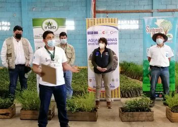 Reforestarán zona boscosa en San Pedro Sacatepéquez