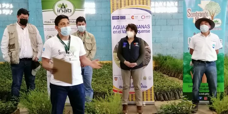 Reforestarán zona boscosa en San Pedro Sacatepéquez