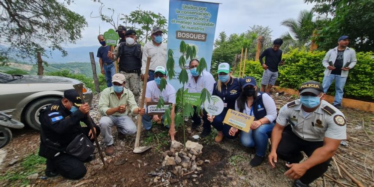 Chiquimula acepta reto de reforestación y suma más de 4 mil árboles plantados