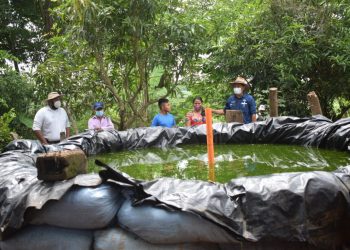 Extensionistas rurales promueven producción de tilapia en Suchitepéquez