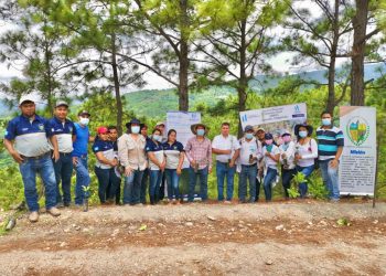 MARN apoya reforestación en Camotán