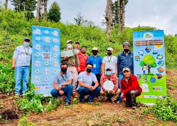 Reforestan área afectada por plaga de gorgojo en San José Ojetenam