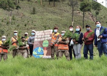 Reforestan Totonicapán para conmemorar el bicentenario