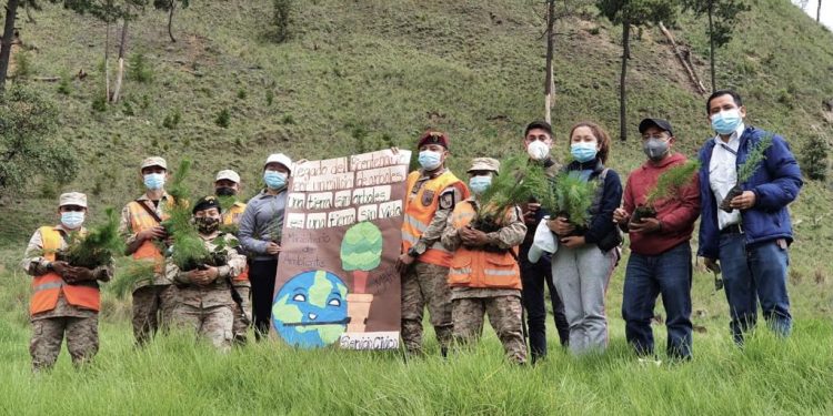 Reforestan Totonicapán para conmemorar el bicentenario
